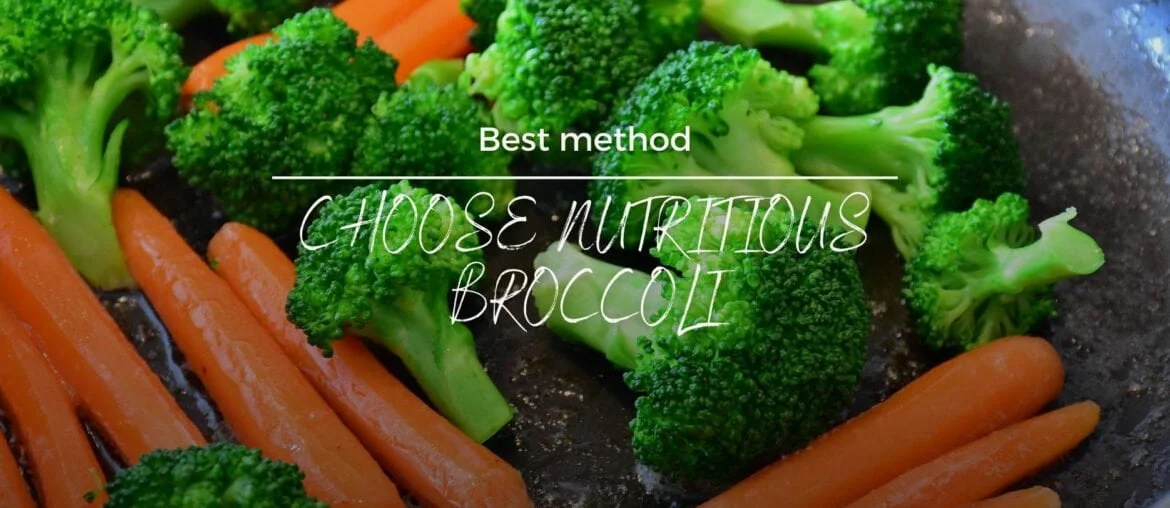 Broccoli is rich in nutrients. The mineral content of broccoli is more extensive than other vegetables. Broccoli contains calcium, phosphorus, iron, potassium, zinc, and manganese. It is much higher than the cabbage flowers belonging to the cruciferous family.