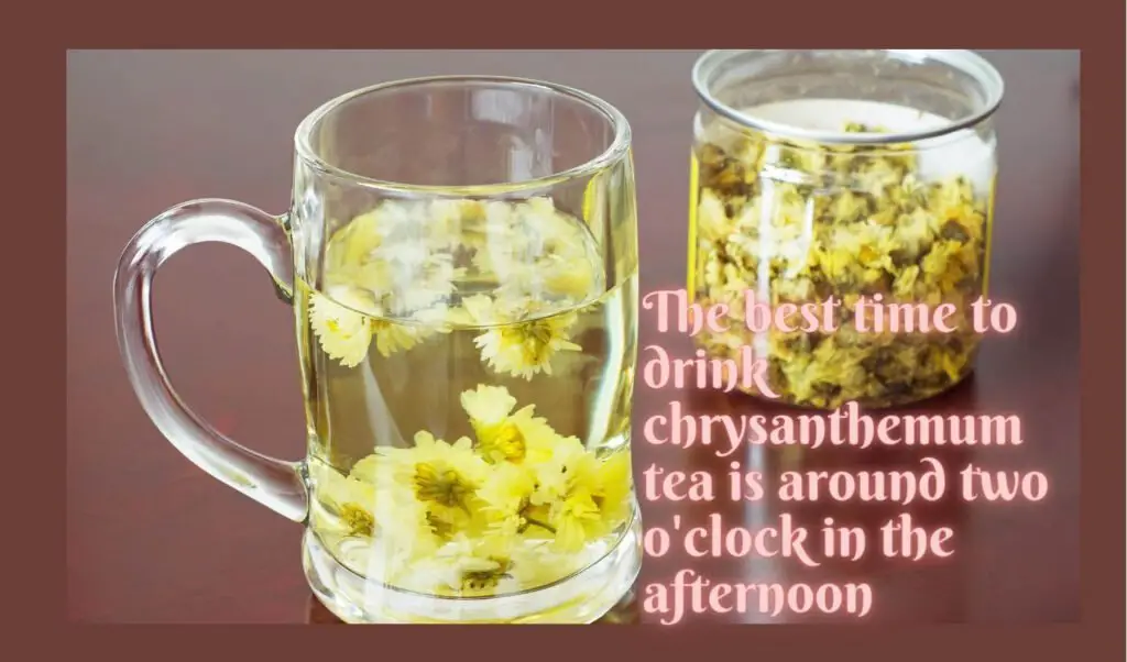 Chrysanthemum Tea Benefits, Uses, And Precautions Stethostalk