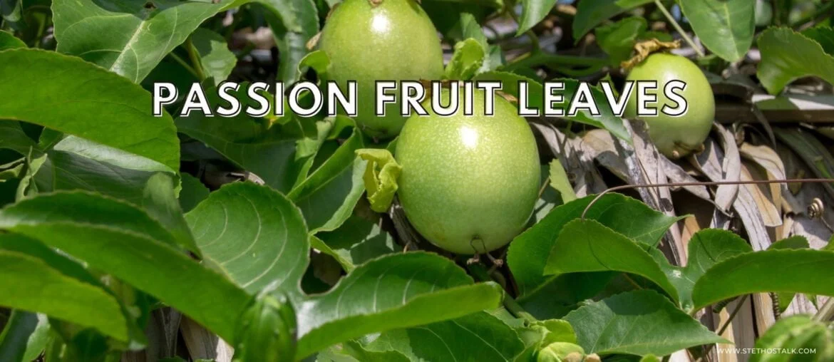 Passion fruit leaves benefits