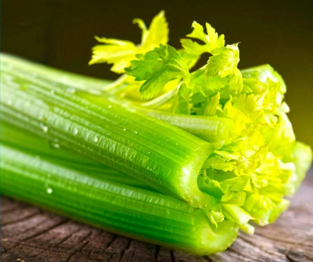 Celery