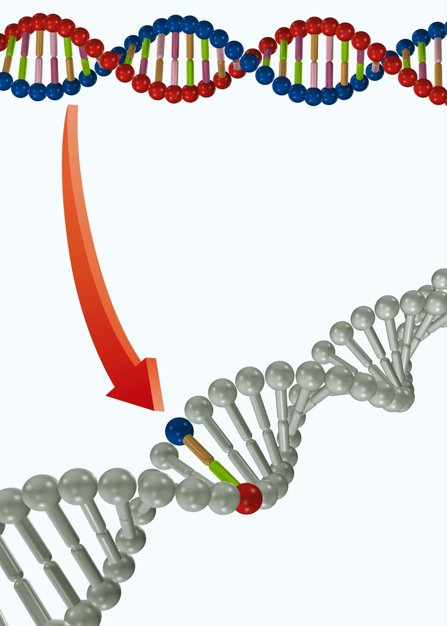 DNA Modifying