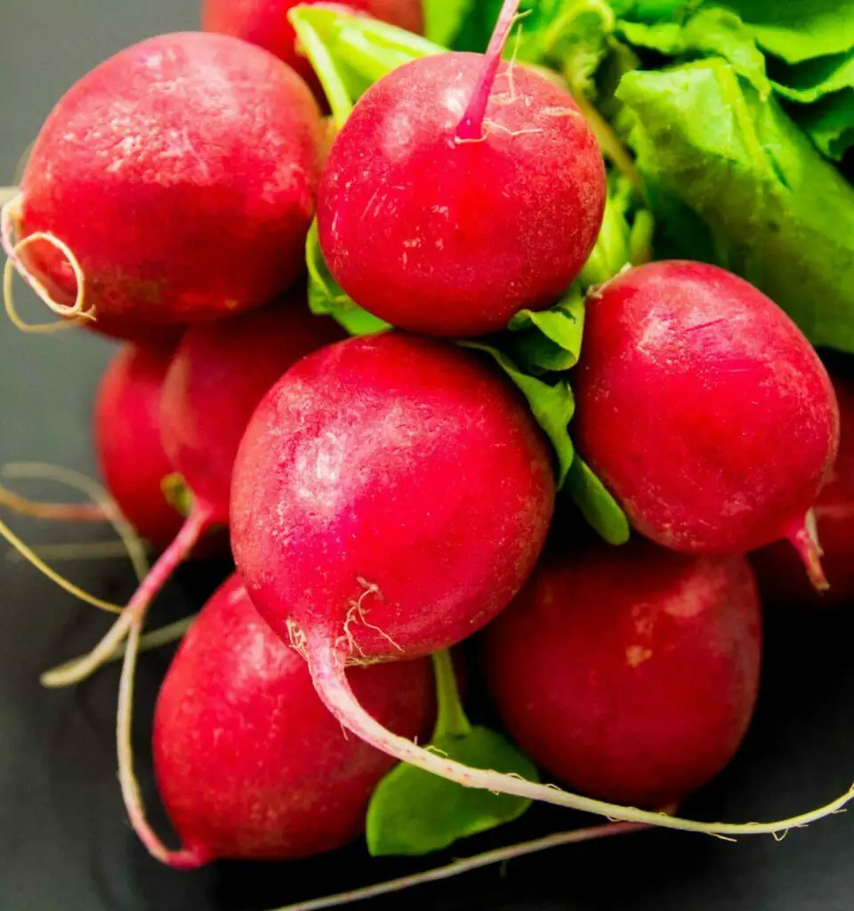 Cherry Belle Radish Nutrition And Benefits | Stethostalk