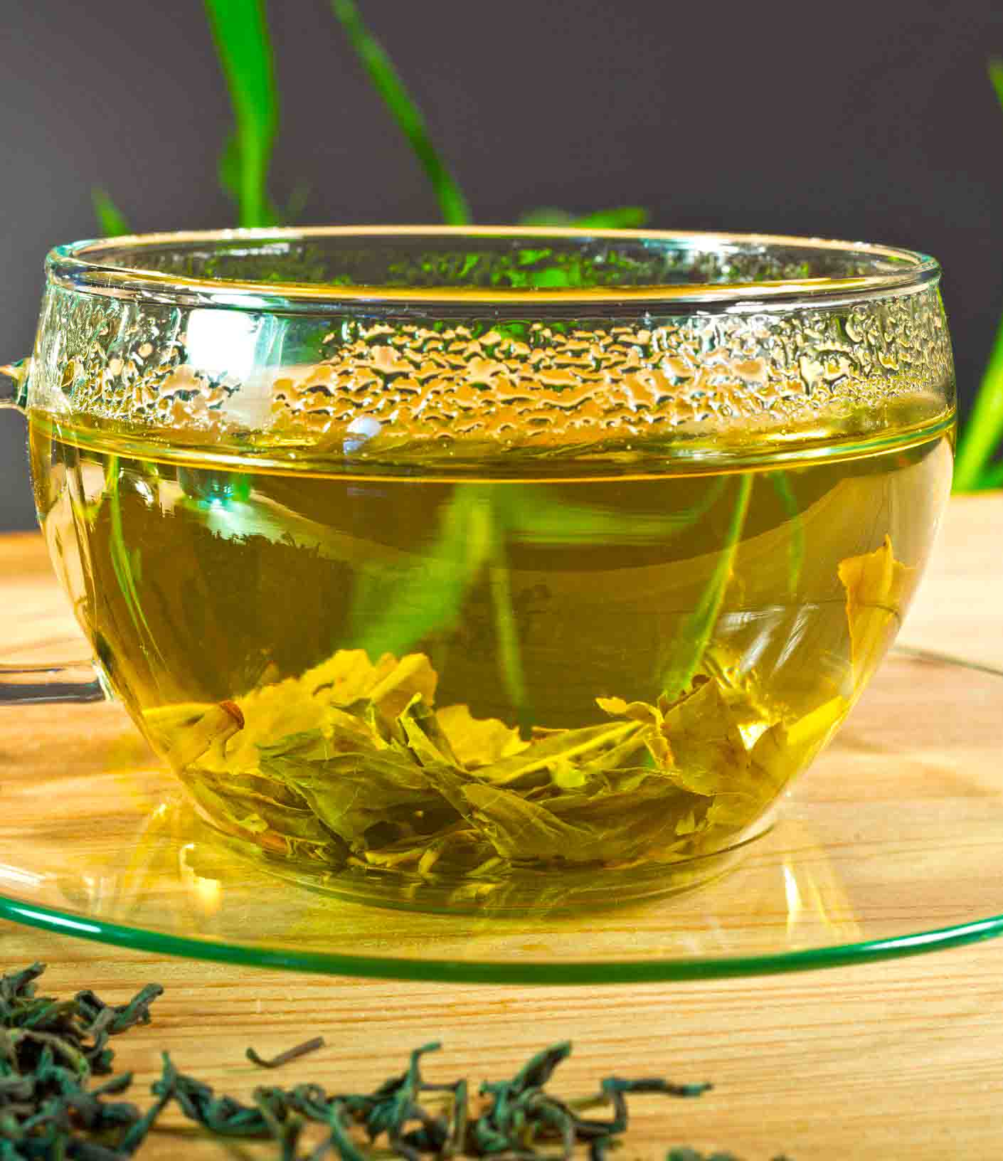 Can We Drink Green Tea In Early Pregnancy