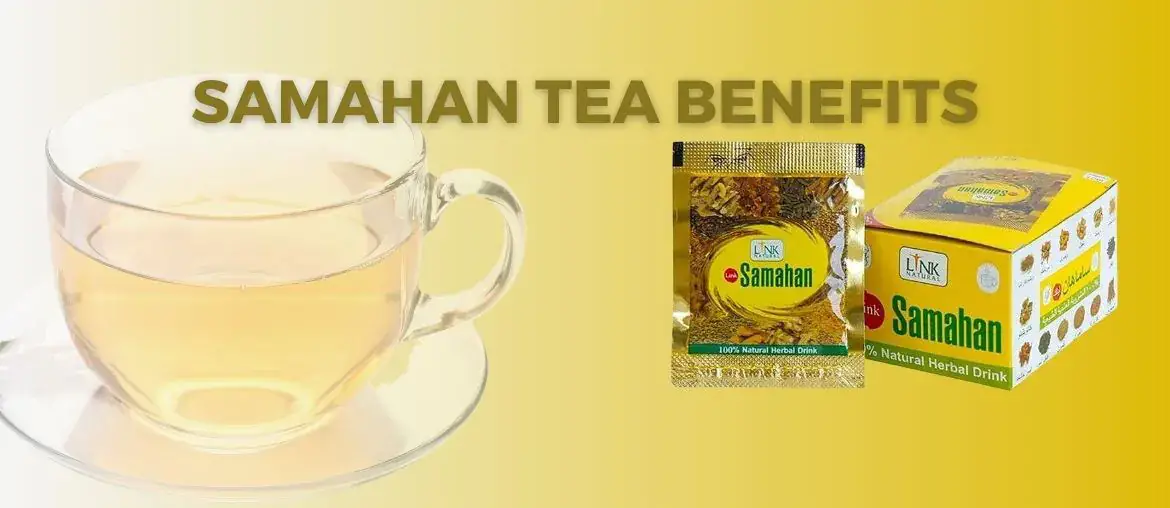 Samahan Tea at best price in New Delhi by Health & Wellness